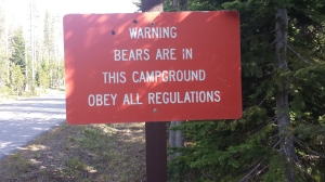 There Be Bears Despite the sign, the woman who sold us our camp permit assured us they stayed out in the back country.