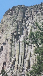 Can You Find the Climbers?